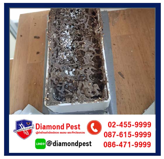 diamondpest