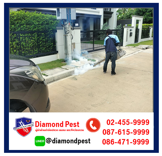 diamondpest