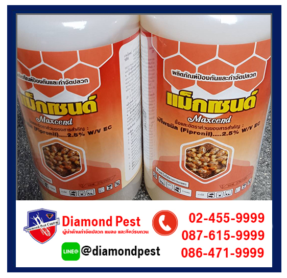 diamondpest