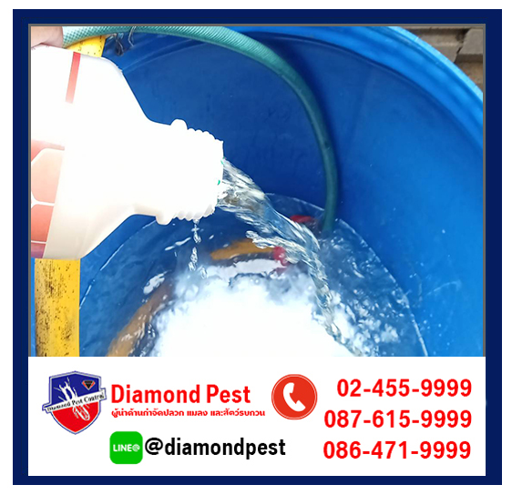 diamondpest
