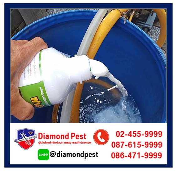 diamondpest