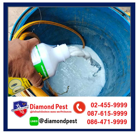 diamondpest