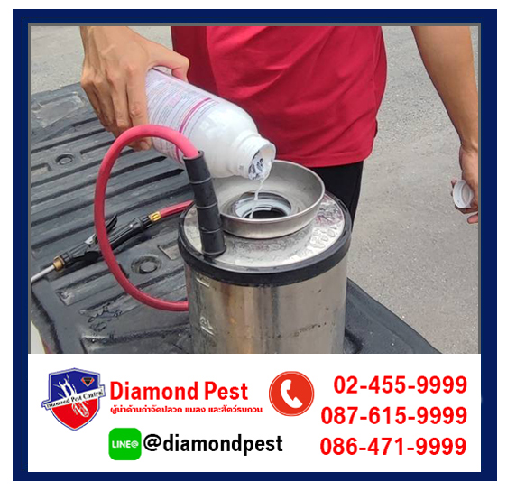 diamondpest