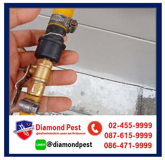 diamondpest