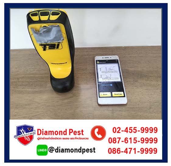 diamondpest