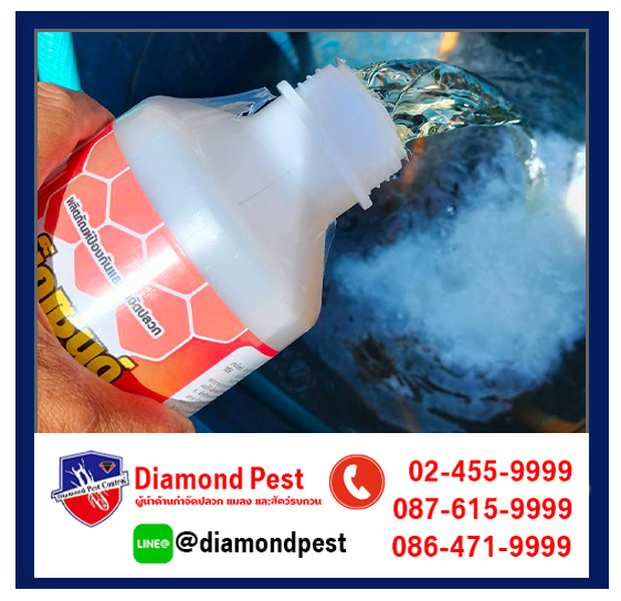 diamondpest