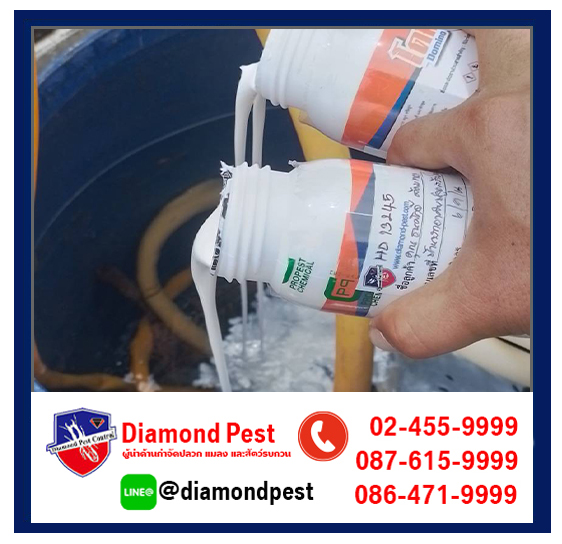 diamondpest