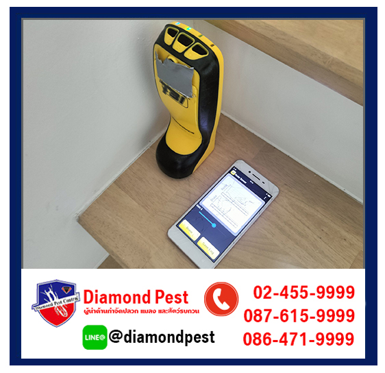 diamondpest