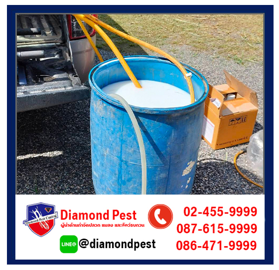 diamondpest