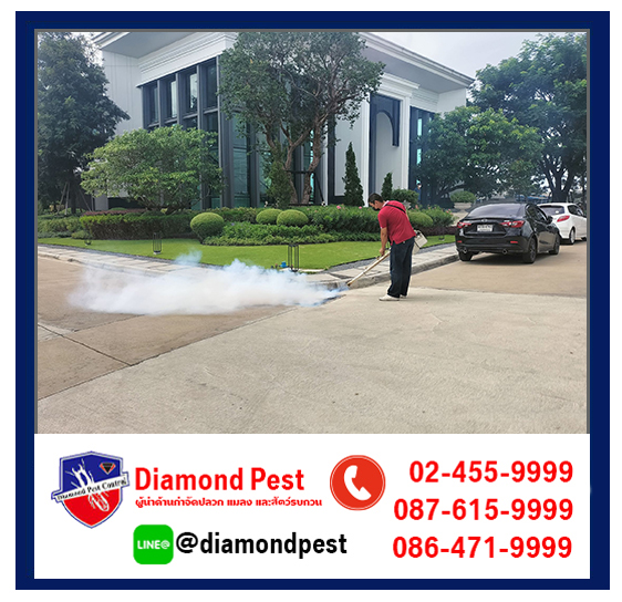 diamondpest