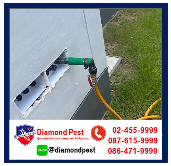 diamondpest