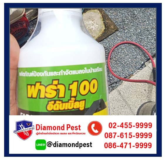 diamondpest