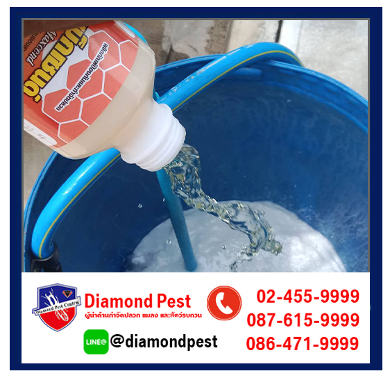 diamondpest