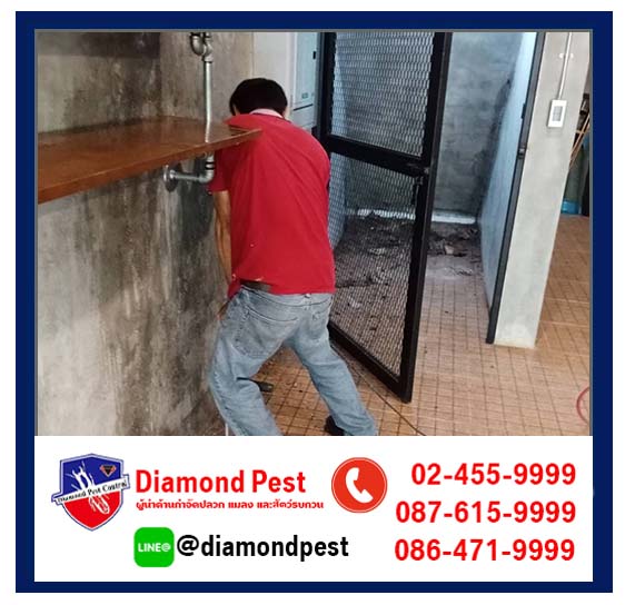 diamondpest