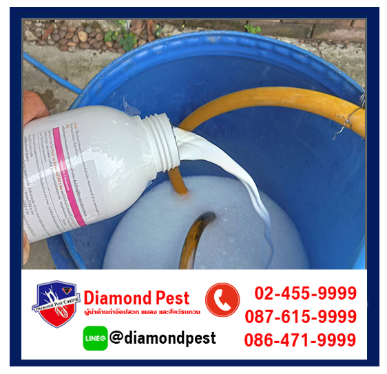 diamondpest