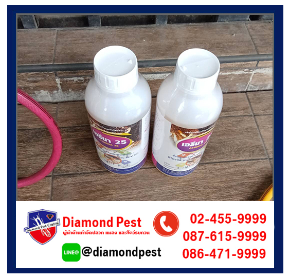 diamondpest