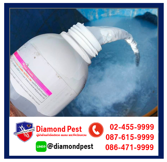 diamondpest