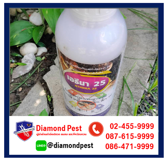 diamondpest