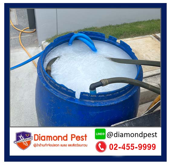diamondpest