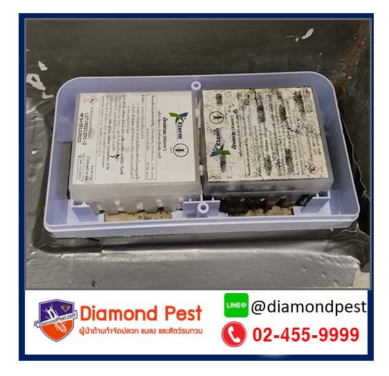diamondpest