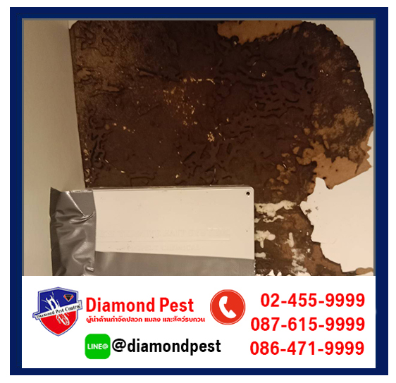 diamondpest