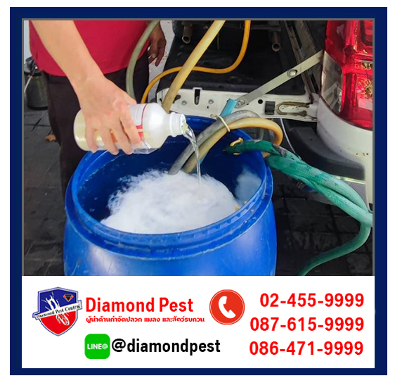 diamondpest