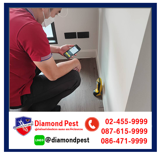 diamondpest