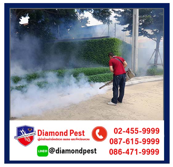 diamondpest