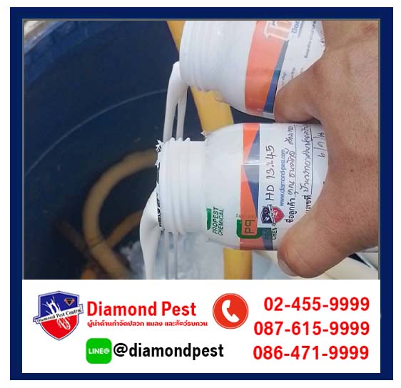 diamondpest