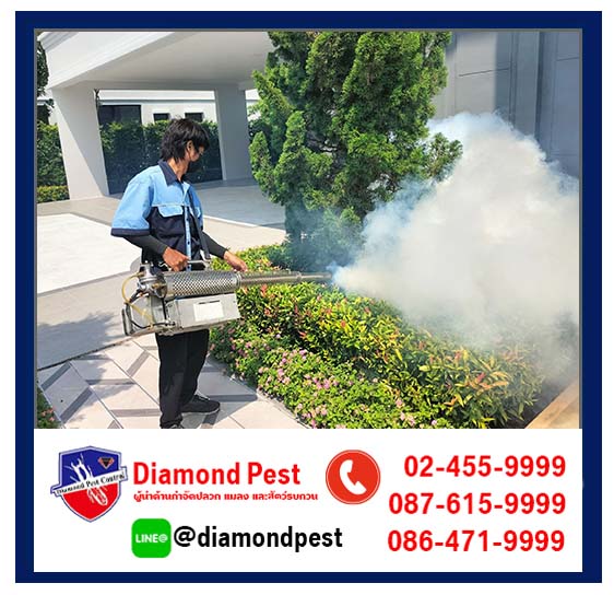 diamondpest