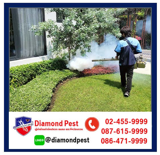 diamondpest