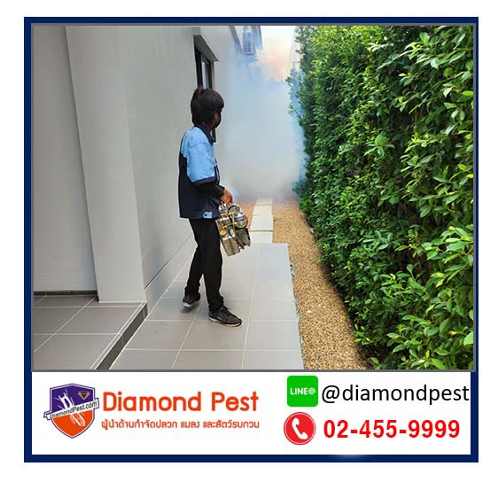 diamondpest