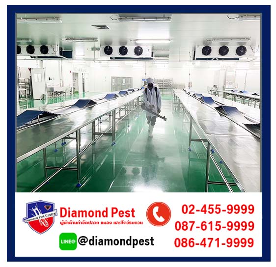 diamondpest