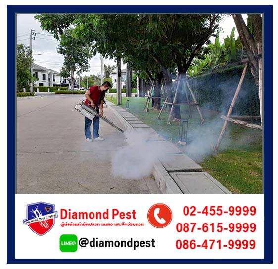diamondpest