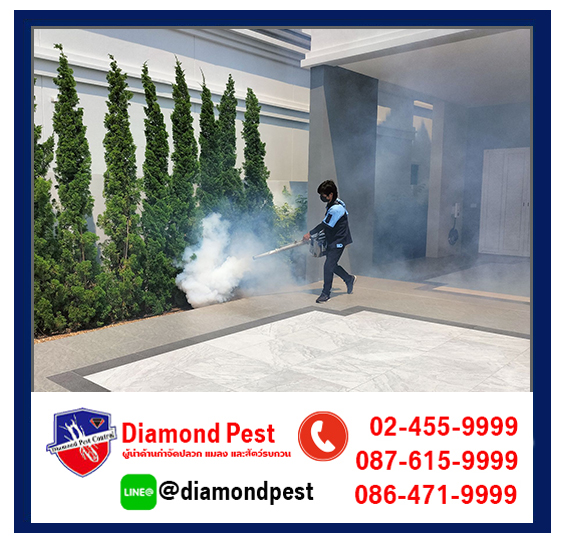 diamondpest