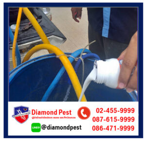 diamondpest