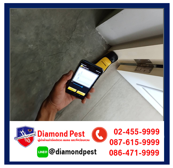 diamondpest