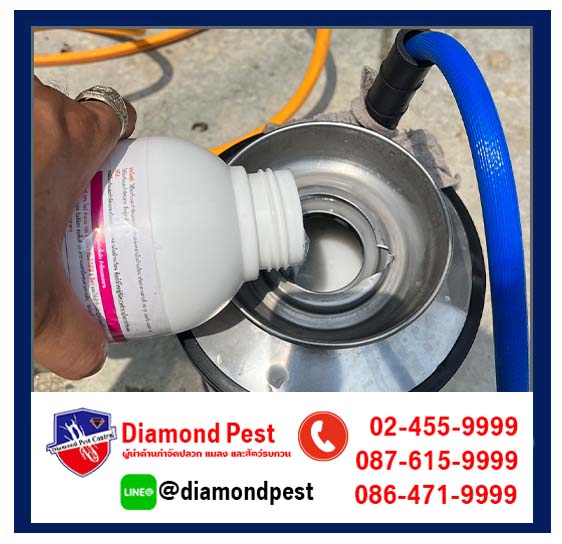 diamondpest