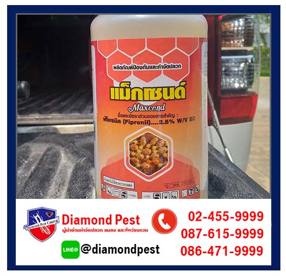 diamondpest