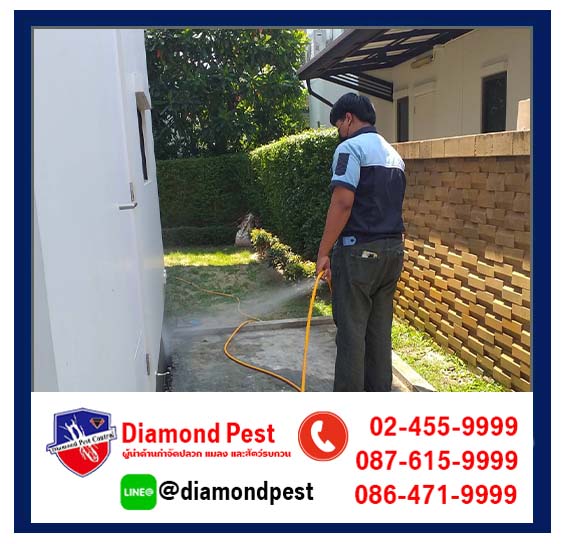diamondpest