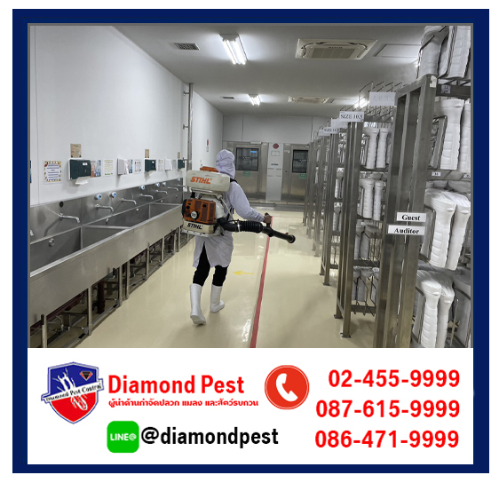 diamondpest