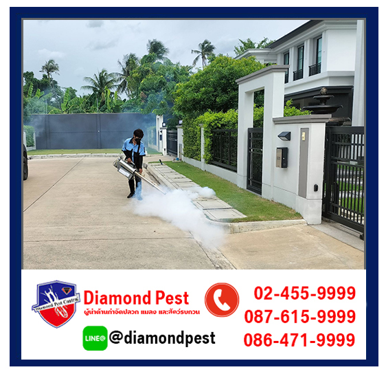 diamondpest