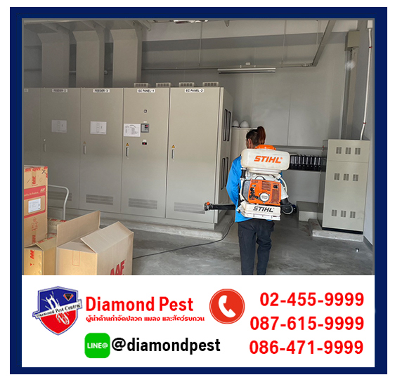 diamondpest