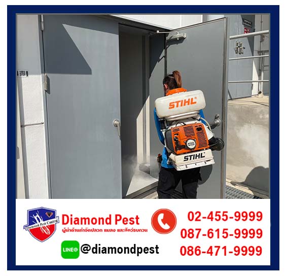 diamondpest