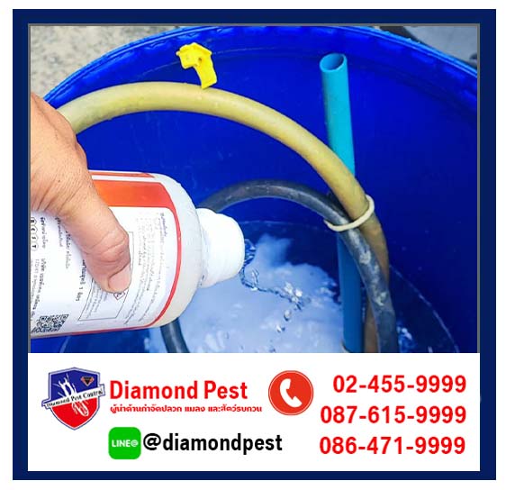 diamondpest