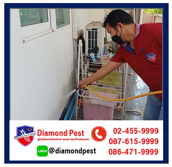 diamondpest