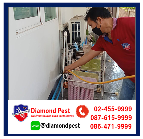 diamondpest