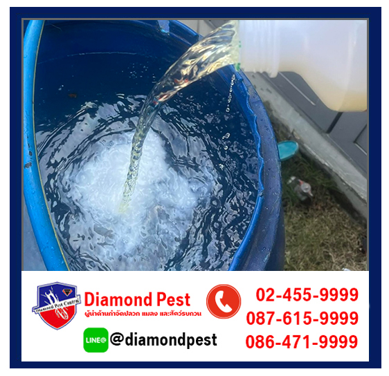 diamondpest