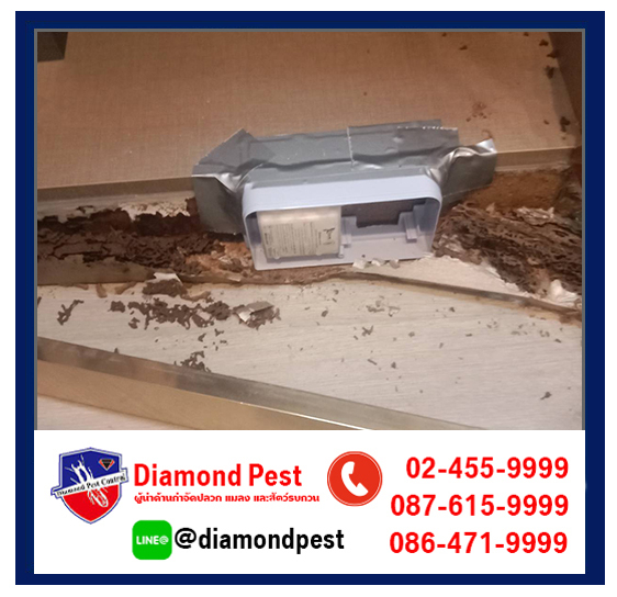 diamondpest