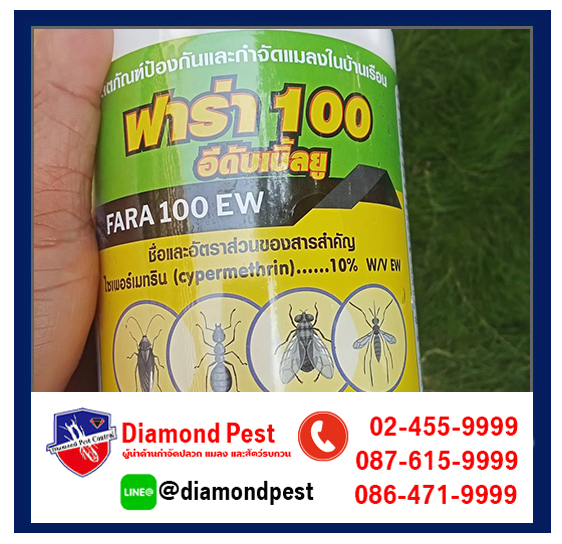 diamondpest